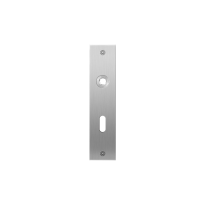 Platte Schild GPF1100.16L/R BB56 links-/rechtsdrehend edelstahl gebürstet