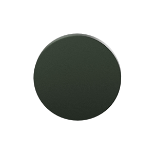 Blindrosette GPF199E 53x6mm Moss 