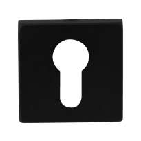 Zylinderrosette GPF8902.02 50x50x8mm schwarz