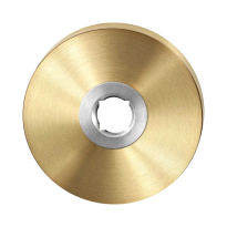 Rosette GPF1100.00P4 50x8mm PVD Messing Satin
