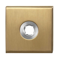 Rosette GPF1100.02P4 50x50x8mm PVD Messing Satin