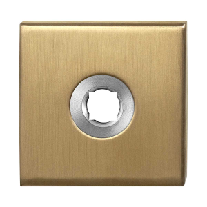 Rosette GPF1100.02P4 50x50x8mm PVD Messing Satin
