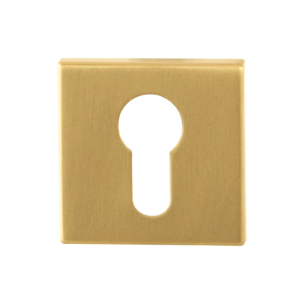 Zylinderrosette GPF0902.02P4 50x50x8mm PVD Satin Messing