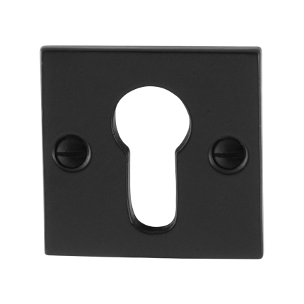 Zylinderrosette GPF6902.08 52x52x4mm Schmiedeeisen schwarz