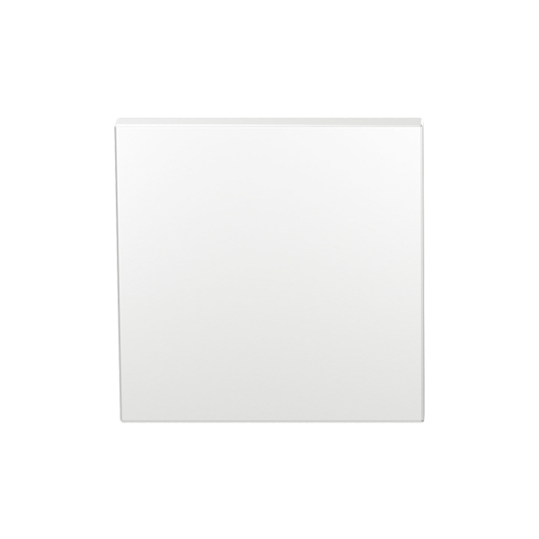 Blinde rozet GPF199E 53x53x6,5mm Wit Egaal