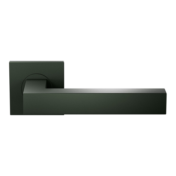 Türgriff auf Rosette GPF132E Moss 