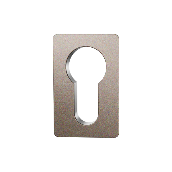 Zylinderrosette GPF0902.00 50x8mm Edelstahl gebürstet