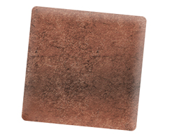 Rost